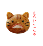 ねこ焼き、関西弁で一言（個別スタンプ：21）