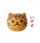 ねこ焼き、関西弁で一言（個別スタンプ：23）