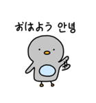 小さなペンギン ペンキー (日本語＆韓国語)（個別スタンプ：1）
