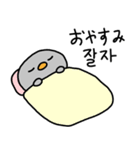 小さなペンギン ペンキー (日本語＆韓国語)（個別スタンプ：14）