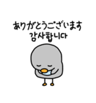 小さなペンギン ペンキー (日本語＆韓国語)（個別スタンプ：16）