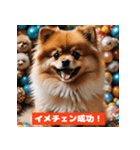 ポメラニアンの美容院あるある！？（個別スタンプ：1）