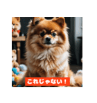 ポメラニアンの美容院あるある！？（個別スタンプ：8）