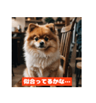 ポメラニアンの美容院あるある！？（個別スタンプ：10）