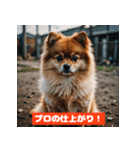 ポメラニアンの美容院あるある！？（個別スタンプ：11）