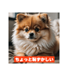ポメラニアンの美容院あるある！？（個別スタンプ：12）