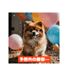 ポメラニアンの美容院あるある！？（個別スタンプ：13）