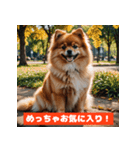 ポメラニアンの美容院あるある！？（個別スタンプ：16）