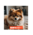 ポメラニアンの美容院あるある！？（個別スタンプ：17）