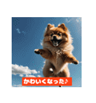 ポメラニアンの美容院あるある！？（個別スタンプ：19）