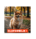 ポメラニアンの美容院あるある！？（個別スタンプ：20）