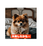 ポメラニアンの美容院あるある！？（個別スタンプ：22）