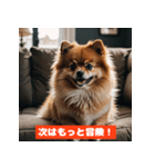 ポメラニアンの美容院あるある！？（個別スタンプ：24）