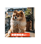 ポメラニアンの美容院あるある！？（個別スタンプ：28）