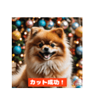 ポメラニアンの美容院あるある！？（個別スタンプ：30）