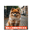 ポメラニアンの美容院あるある！？（個別スタンプ：32）