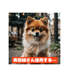 ポメラニアンの美容院あるある！？（個別スタンプ：35）