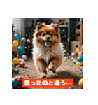ポメラニアンの美容院あるある！？（個別スタンプ：36）