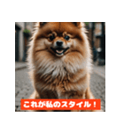 ポメラニアンの美容院あるある！？（個別スタンプ：38）