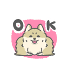 シンプルなポメラニアンのスタンプ（個別スタンプ：3）