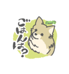 シンプルなポメラニアンのスタンプ（個別スタンプ：8）