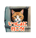 応援にゃんこスタンプ（個別スタンプ：8）