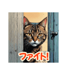 応援にゃんこスタンプ（個別スタンプ：30）