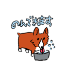 コーギーあかねのイラストスタンプ2（個別スタンプ：2）