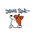 コーギーあかねのイラストスタンプ2（個別スタンプ：8）