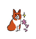 コーギーあかねのイラストスタンプ2（個別スタンプ：10）