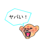 吠える子ライオン ver.2（個別スタンプ：24）