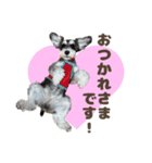 シュナウザーのロイロナちゃんスタンプ（個別スタンプ：2）