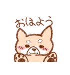 ゆるい柴犬のスタンプ（個別スタンプ：1）