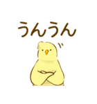 もふもふな三兄弟たちの日常スタンプ（個別スタンプ：11）