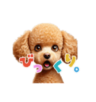 よく使う♡トイプードルの受け答え（個別スタンプ：10）