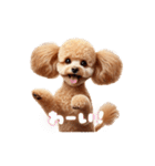 よく使う♡トイプードルの受け答え（個別スタンプ：14）