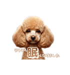 よく使う♡トイプードルの受け答え（個別スタンプ：15）