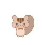 リスのエキュルスタンプ（個別スタンプ：14）