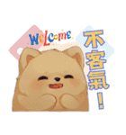 チャウチャウ - ライフスタイルの写真 1（個別スタンプ：3）