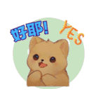 チャウチャウ - ライフスタイルの写真 1（個別スタンプ：14）