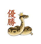 ボールパイソンのスタンプ（個別スタンプ：2）