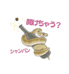 ボールパイソンのスタンプ（個別スタンプ：7）