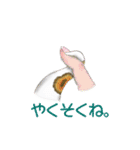 ボールパイソンのスタンプ（個別スタンプ：10）