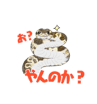ボールパイソンのスタンプ（個別スタンプ：12）