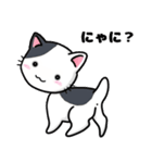 猫！猫！猫！猫（個別スタンプ：2）