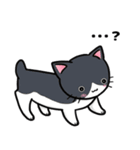 猫！猫！猫！猫（個別スタンプ：4）