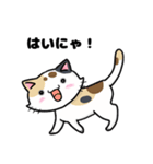 猫！猫！猫！猫（個別スタンプ：5）