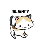 猫！猫！猫！猫（個別スタンプ：7）