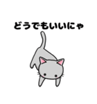 猫！猫！猫！猫（個別スタンプ：17）