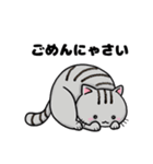 猫！猫！猫！猫（個別スタンプ：23）
